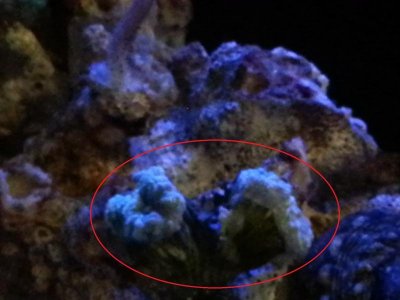 20130823_070144-1.jpg