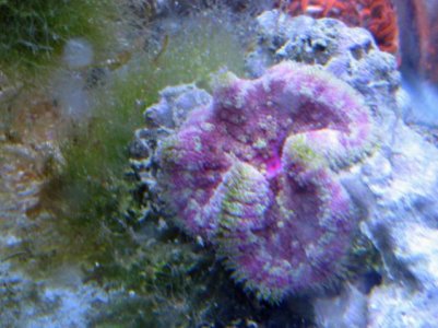 081913e.jpg