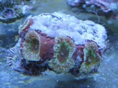 082313a.jpg