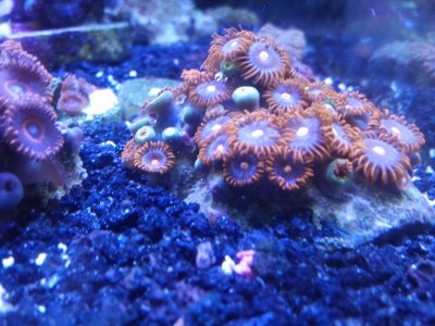 2013-07-29 16.23.33.jpg