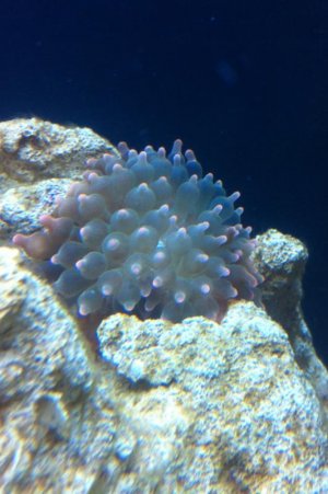 photo-7.jpg