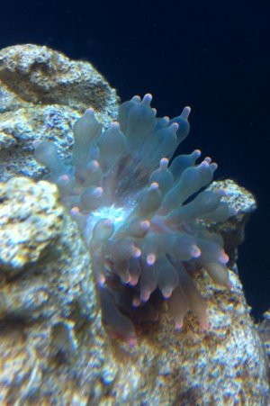 photo-8.jpg