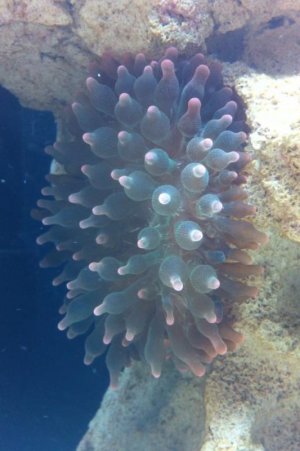 photo-9.jpg