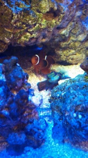 IMG_20130824_213512_059 (1).jpg