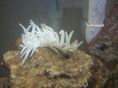 2013-08-25 15.57.46.jpg