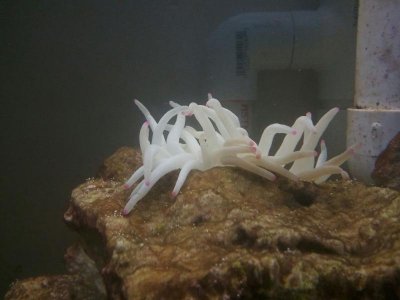 2013-08-25 15.58.57.jpg