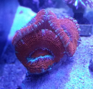 20130805_170911.jpg