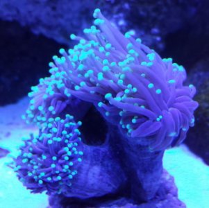 20130805_170954.jpg