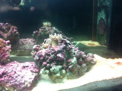 lowIMG_2170.jpg lowIMG_2170.jpg