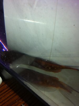 IMG_1538.jpg IMG_1538.jpg