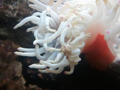 2013-08-26 12.11.41.jpg