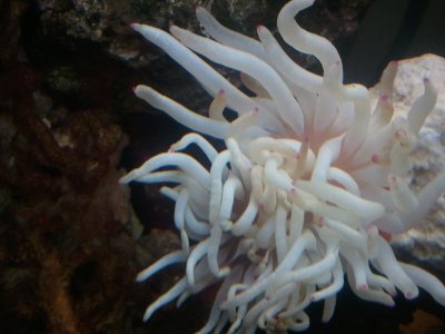 2013-08-26 12.12.28.jpg