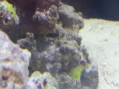 20130807_175844.jpg