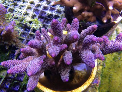 IMG_2480.jpg