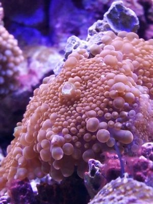 20130823_215820.jpeg