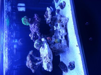 20130809_184043.jpg