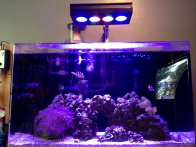 Hydra Tank (800x600).jpg