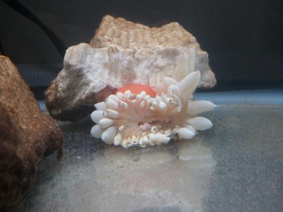 2013-09-05 19.53.07.jpg