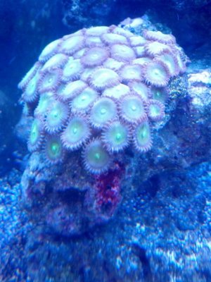 IMG_20130813_132829.jpg