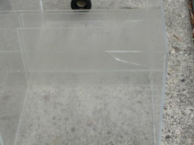 DSC03782 (640x480).jpg