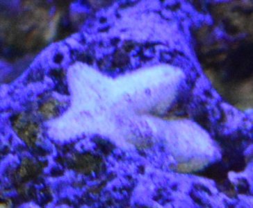 Pix3.JPG