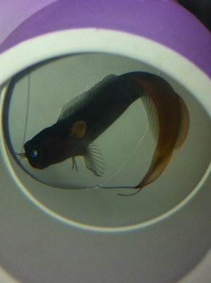 IMG_1561.jpg IMG_1561.jpg