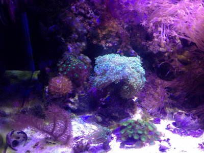 photo_2.jpg