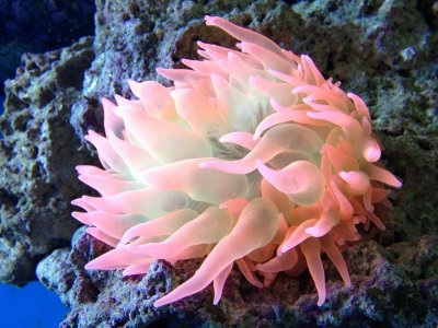 photo (29) (1280x960).jpg