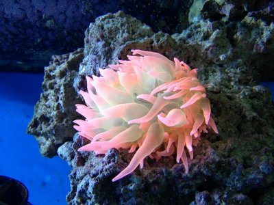 photo (30) (1280x960).jpg