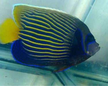 ImageUploadedByTapatalk1378081426.528839.jpg ImageUploadedByTapatalk1378081426.528839.jpg