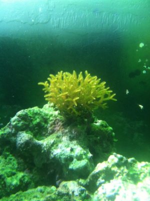 IMG_0536.jpg