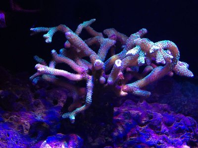 IMG_0641.JPG