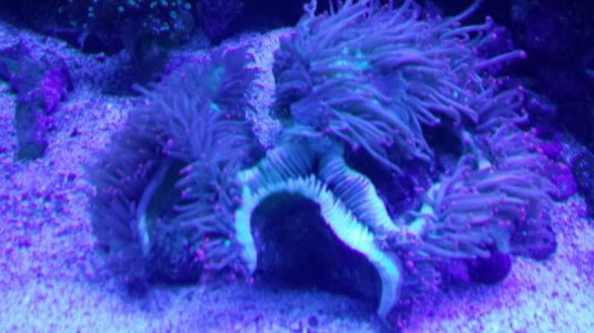 20130909_201318_resized.jpg