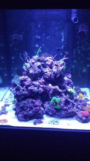 akvarie1.jpg