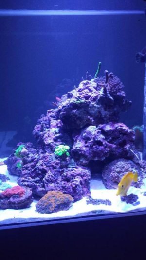 akvarie4.jpg