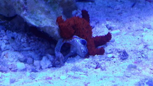 uploadfromtaptalk1378809110928.jpg uploadfromtaptalk1378809110928.jpg