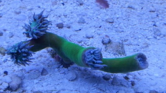 20130903_202647.jpg