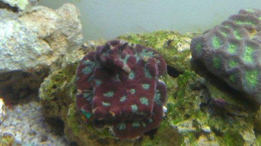IMAG0376.jpg