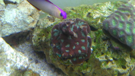IMAG0377.jpg