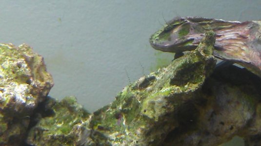 IMAG0380.jpg
