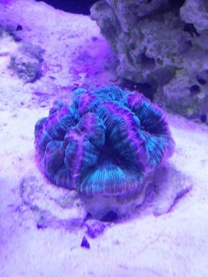2013-09-04 15.53.20.jpg