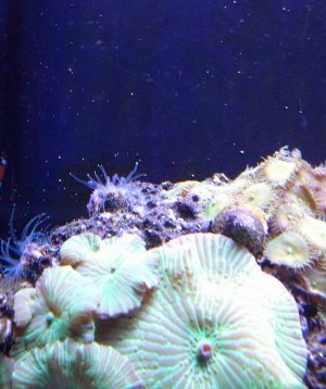20130904_192157-2.jpg