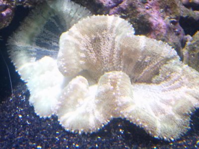 CAM00630.jpg