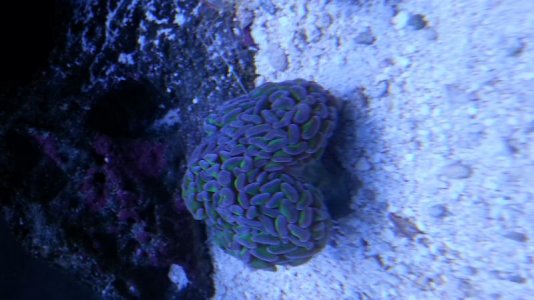 20130913_111002.jpg