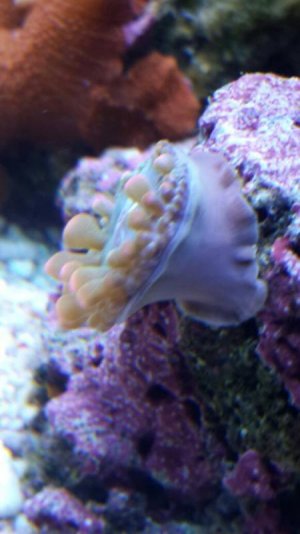 uploadfromtaptalk1380883110411.jpg uploadfromtaptalk1380883110411.jpg