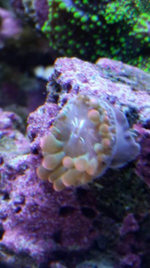 uploadfromtaptalk1380883123881.jpg uploadfromtaptalk1380883123881.jpg