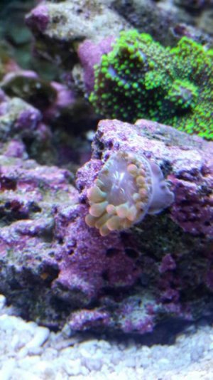 uploadfromtaptalk1380883135114.jpg uploadfromtaptalk1380883135114.jpg