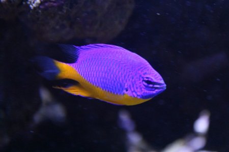 IMG_5027.jpg