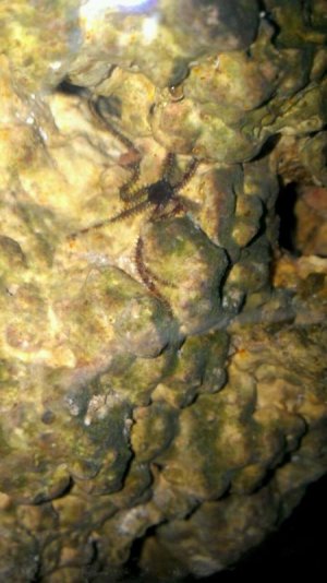 VIDEO0066_0000013989.jpg