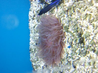 2013-09-15 16.50.12.jpg